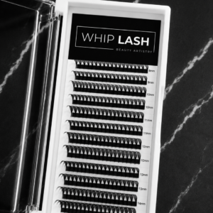 anime lashes d curl